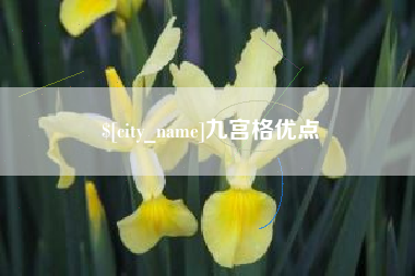 延安九宫格优点