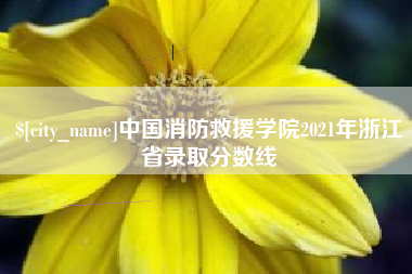延安中国消防救援学院2021年浙江省录取分数线