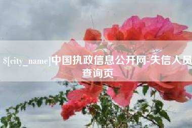 延安中国执政信息公开网-失信人员查询页