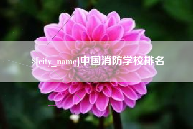 延安中国消防学校排名