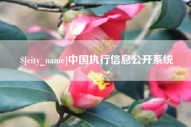 延安中国执行信息公开系统