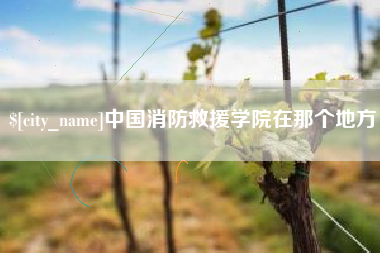 延安中国消防救援学院在那个地方