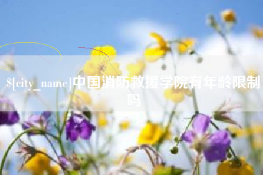 延安中国消防救援学院有年龄限制吗