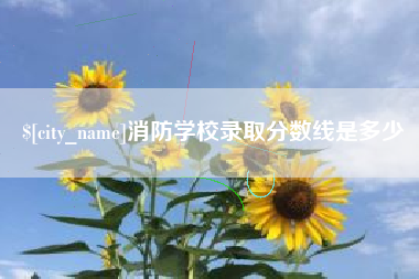 延安消防学校录取分数线是多少