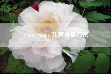 延安九宫排盘方法