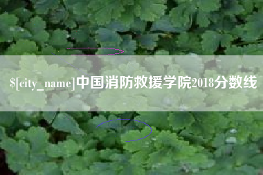 延安中国消防救援学院2018分数线