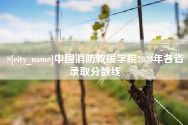延安中国消防救援学院2020年各省录取分数线