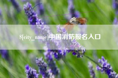 延安中国消防报名入口