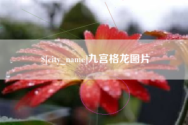 延安九宫格龙图片