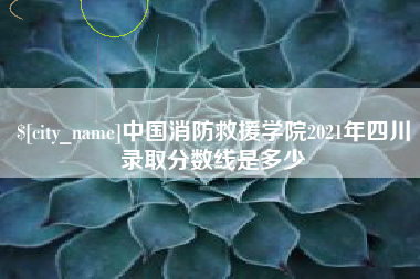 延安中国消防救援学院2021年四川录取分数线是多少