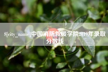 延安中国消防救援学院2019年录取分数线