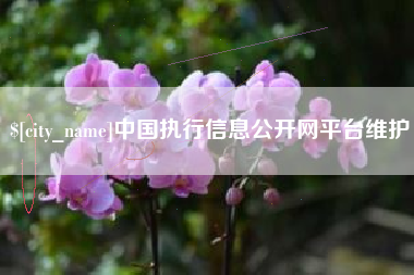 延安中国执行信息公开网平台维护