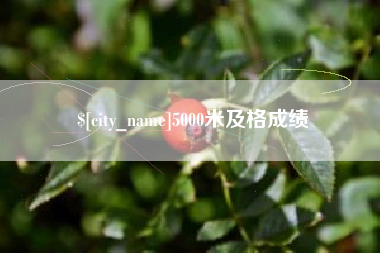 延安5000米及格成绩