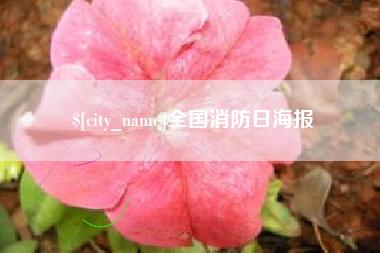 延安全国消防日海报