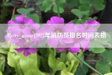 延安2025年消防员报名时间表格