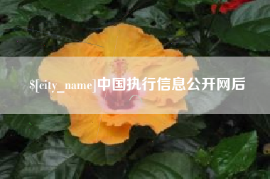 延安中国执行信息公开网后