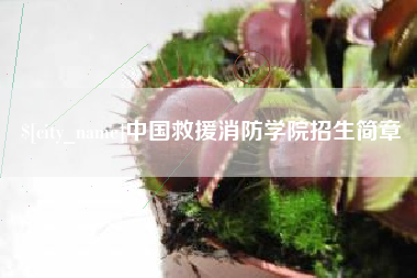 延安中国救援消防学院招生简章