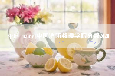 延安中国消防救援学院分数2020