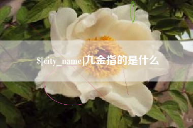 延安九金指的是什么