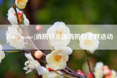 延安消防日全国消防日主题活动