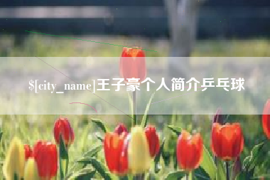 延安王子豪个人简介乒乓球