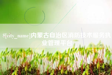 延安内蒙古自治区消防技术服务执业管理平台