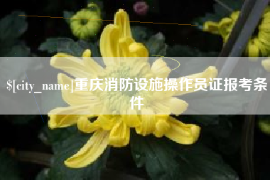 延安重庆消防设施操作员证报考条件