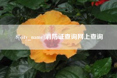 延安消防证查询网上查询