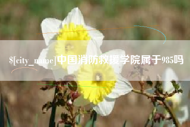 延安中国消防救援学院属于985吗