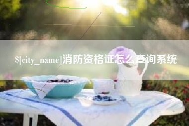 延安消防资格证怎么查询系统