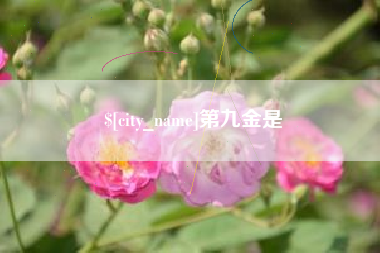 延安第九金是