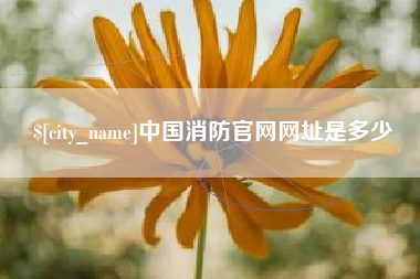 延安中国消防官网网址是多少