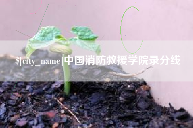 延安中国消防救援学院录分线