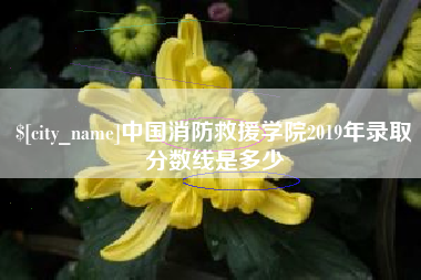 延安中国消防救援学院2019年录取分数线是多少