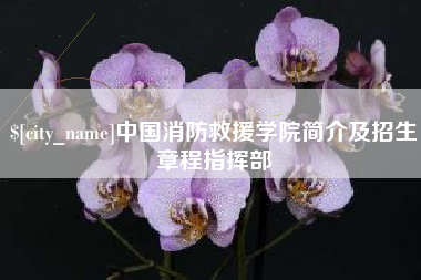 延安中国消防救援学院简介及招生章程指挥部