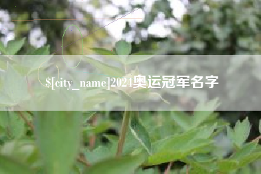 延安2024奥运冠军名字