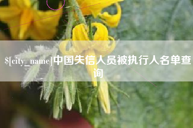 延安中国失信人员被执行人名单查询