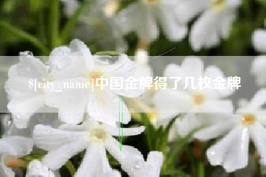 延安中国金牌得了几枚金牌