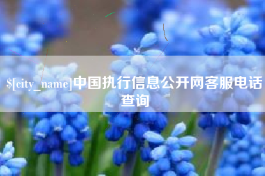 延安中国执行信息公开网客服电话查询