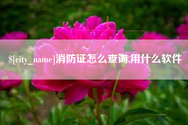 延安消防证怎么查询,用什么软件