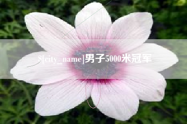 延安男子5000米冠军