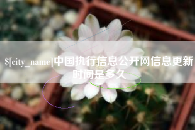 延安中国执行信息公开网信息更新时间是多久