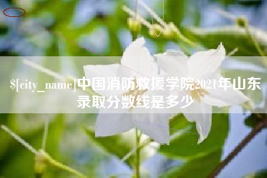 延安中国消防救援学院2021年山东录取分数线是多少