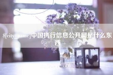 延安中国执行信息公开网是什么东西