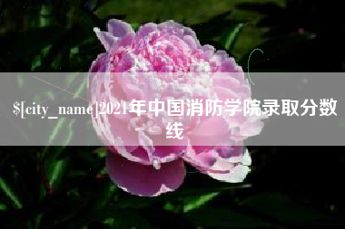 延安2021年中国消防学院录取分数线