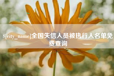 延安全国失信人员被执行人名单免费查询