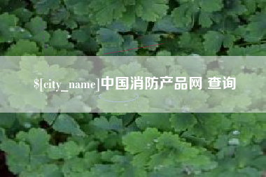 延安中国消防产品网 查询