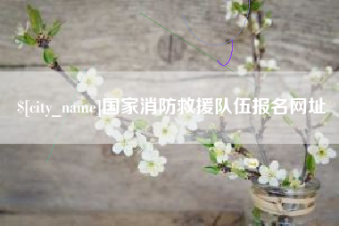 延安国家消防救援队伍报名网址
