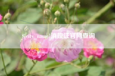 延安消控证官网查询