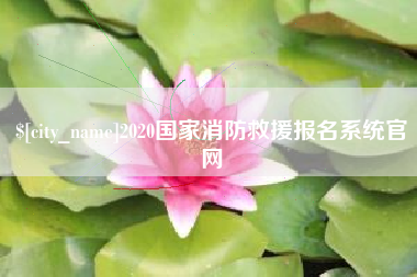 延安2020国家消防救援报名系统官网